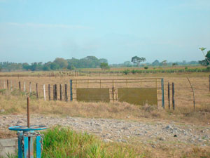 Agriculture land in Chiriqui Panama fertile soil